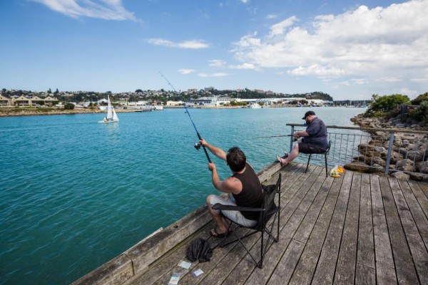 Fishing in Napier and Hawke's Bay